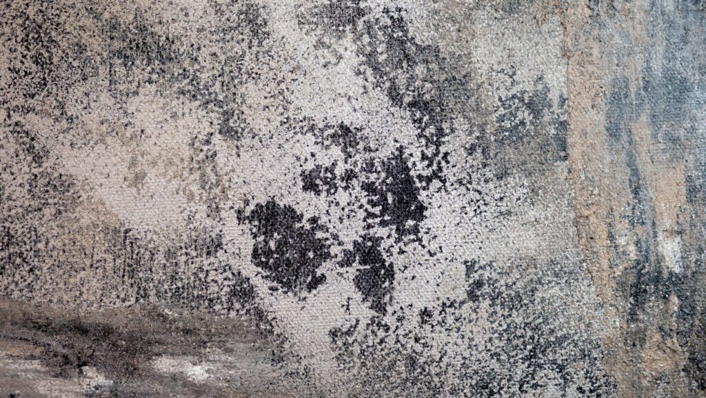 artiste-peintre-abstrait-perpignan-patrick-cros-moderne-contemporain-art-texture